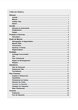 table des matières du modèle de business plan d'agence de voyage