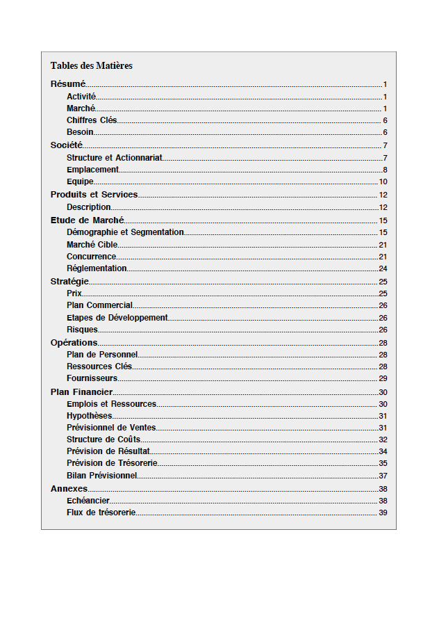 table des matières du modèle de business plan de lavomatique pressing