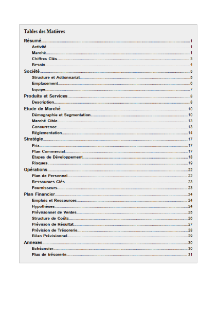 table des matières du modèle de business plan de garage automobile